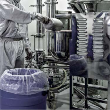 Image hover effect image